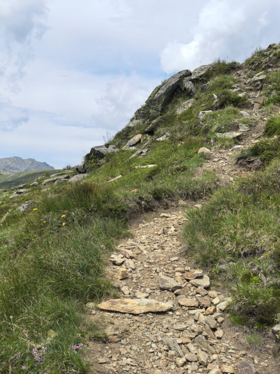 original 519417671 1323001676494259 2779597690146837721 n