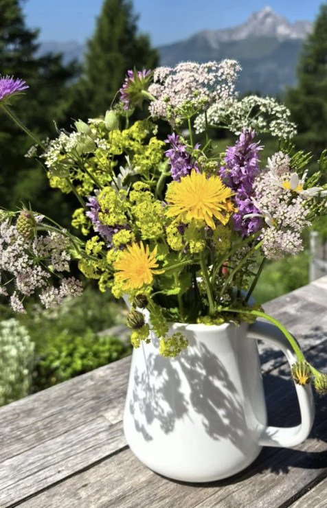 original 519964938 1323001393160954 6533919690972504761 n