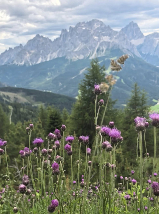 original 521189688 1324765819651178 5693984713147674646 n