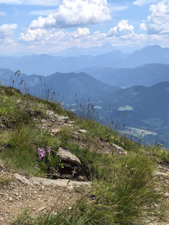 original 521044603 1323001713160922 3328076239851421009 n