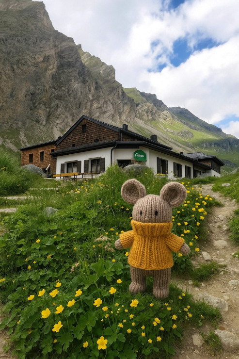 original 522527443 1326464232814670 3514252933192255533 n