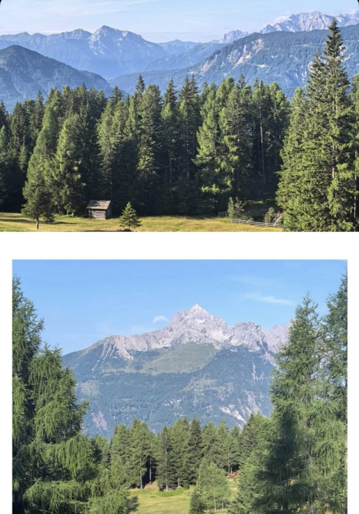 original 523364604 1326464272814666 229541628626537752 n