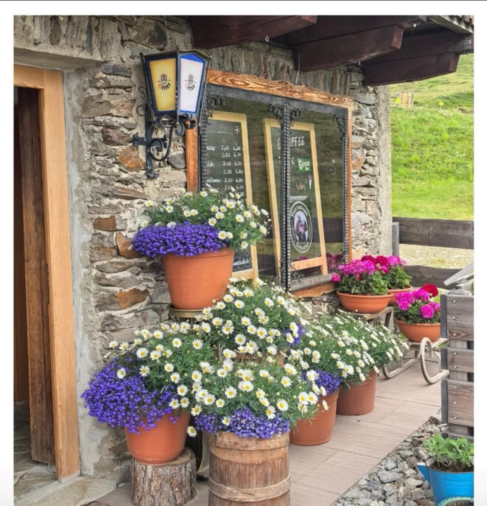 original 524350677 1327522456042181 5012239512879602693 n