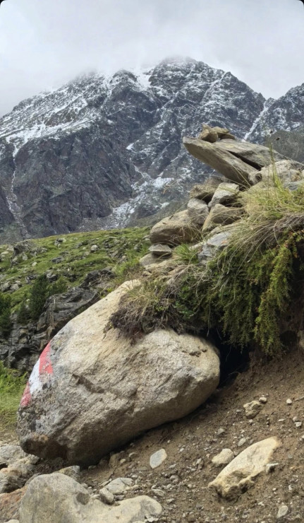 original 524940771 1330288989098861 7054258285971326602 n