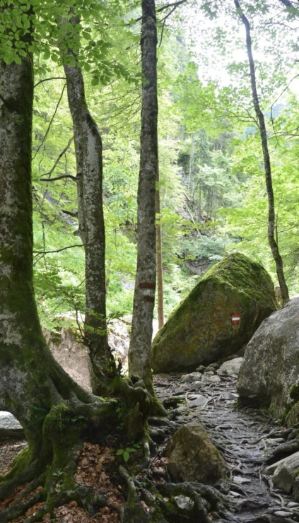 original 525810186 1333070128820747 2728259498375474367 n