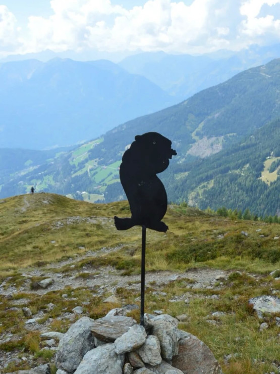 original 532508468 17952092813990812 7410550474129117041 n