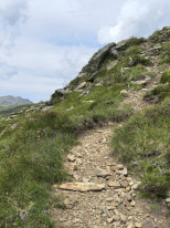 original 519417671 1323001676494259 2779597690146837721 n