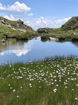 original 520563512 1323908083070285 2716053934620953958 n