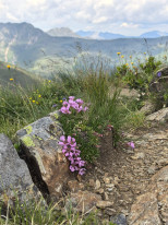 original 521063689 1323001719827588 873096122707589351 n