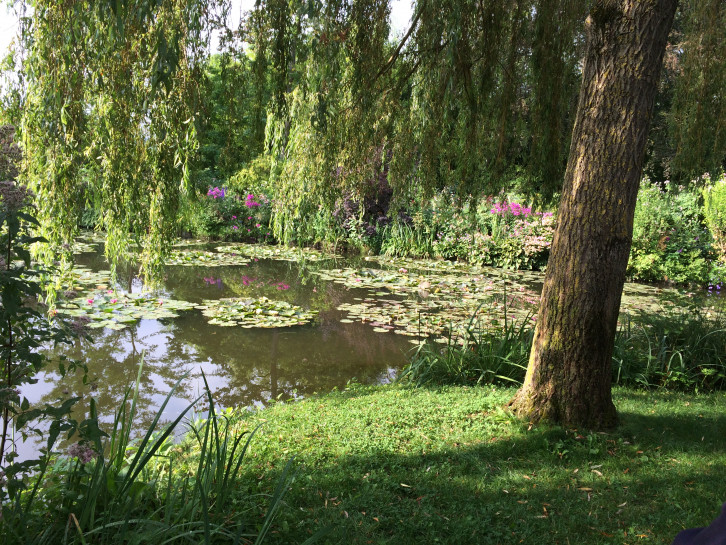 original Seerosenteich im Garten von Monet