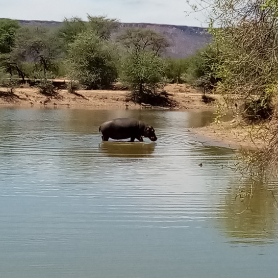 original Namibia8 002 