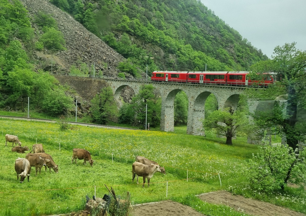 Bild von Bahnerlebnis Schweiz - zwischen hohen Gipfeln und malerischen Seen