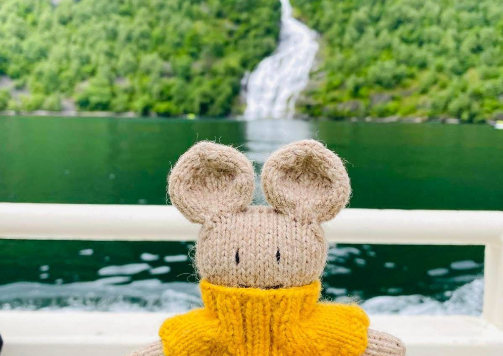 Bild von Hochseekreuzfahrt Norwegische Küste