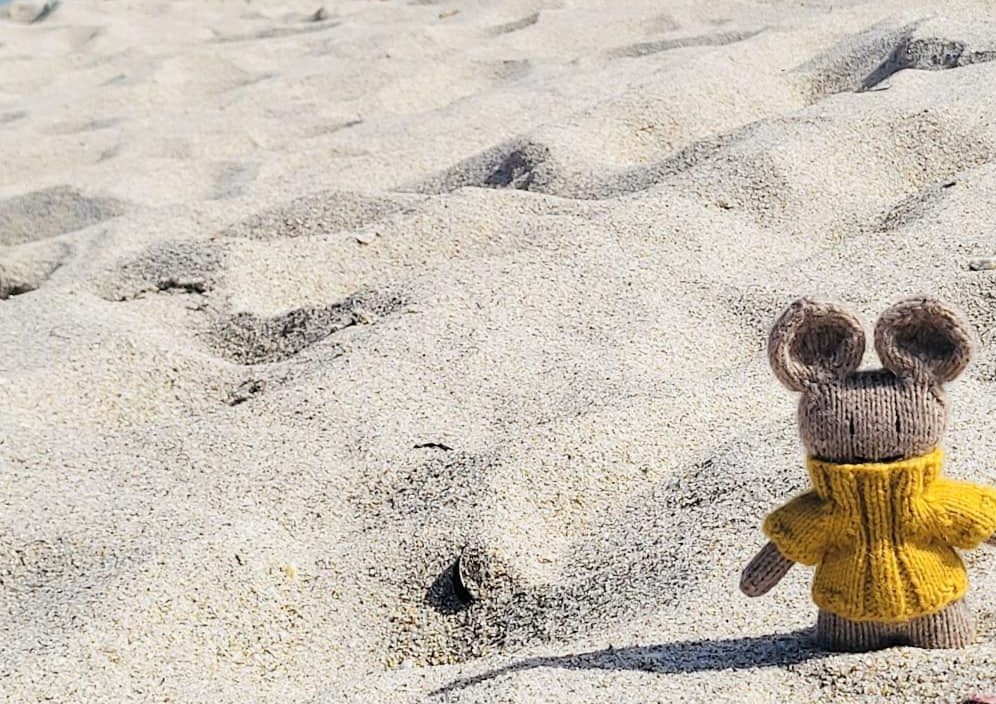 Bild von Lola entdeckt Miami, Florida & die Bahamas