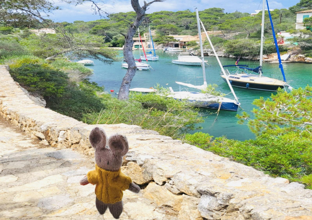 Bild von Sonnige Entdeckungen auf Mallorca